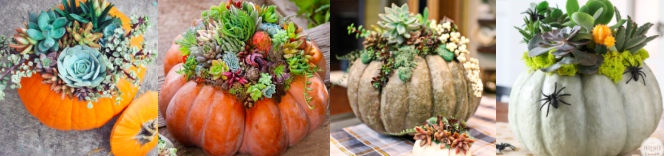 Screen Shot 2018-10-24 at 5.17.06 PM