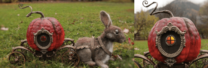 Screen Shot 2018-10-24 at 5.17.18 PM