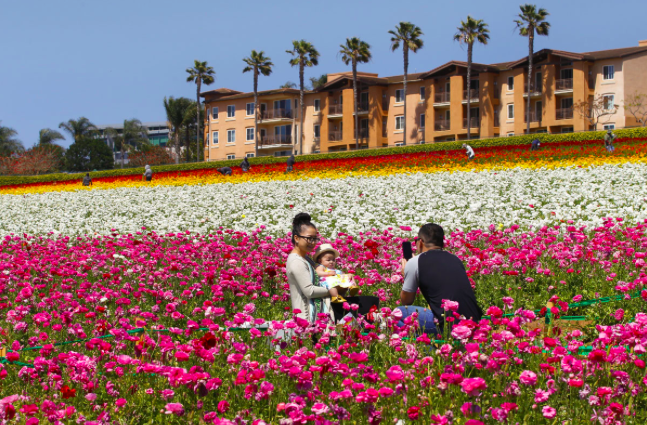 Screen Shot 2018-12-20 at 12.46.19 PM.png