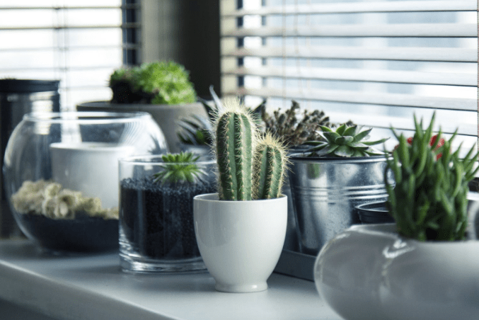 Screen Shot 2019-01-24 at 10.40.03 AM.png